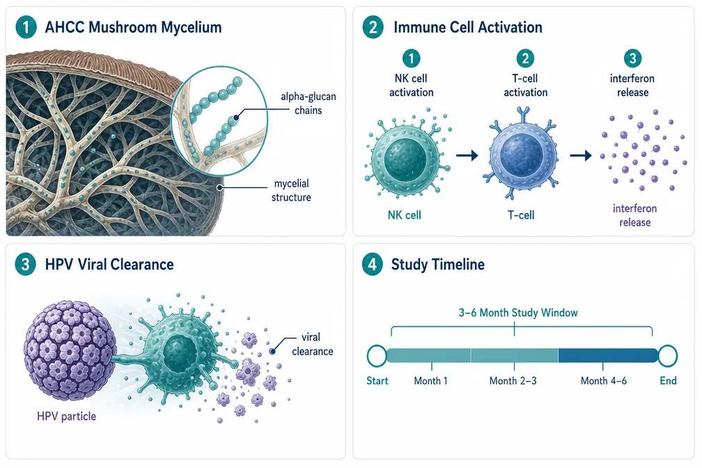 What the Clinical Trials Actually Found
