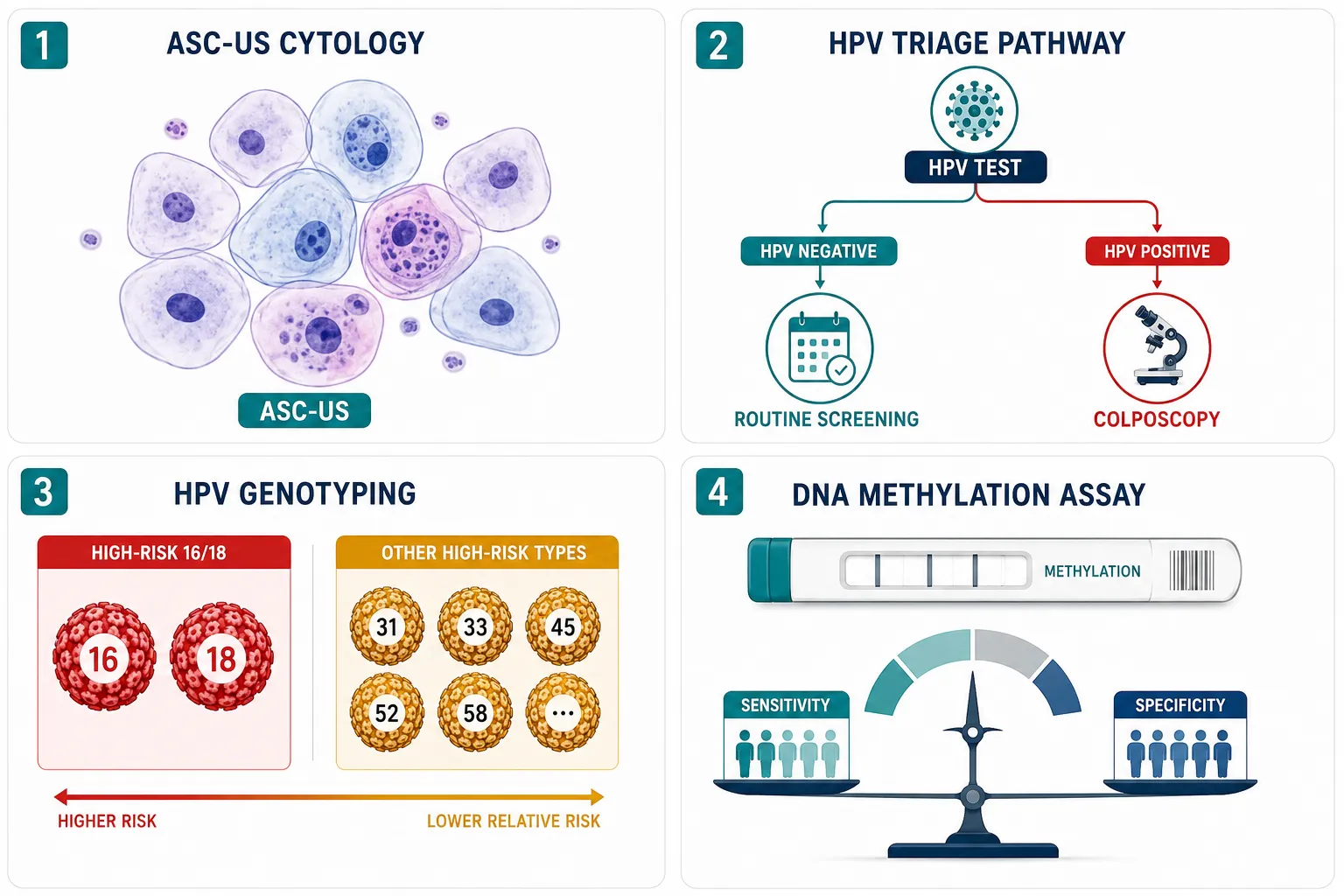 ASCUS HPV: What Research Shows About the HPV-Negative Result