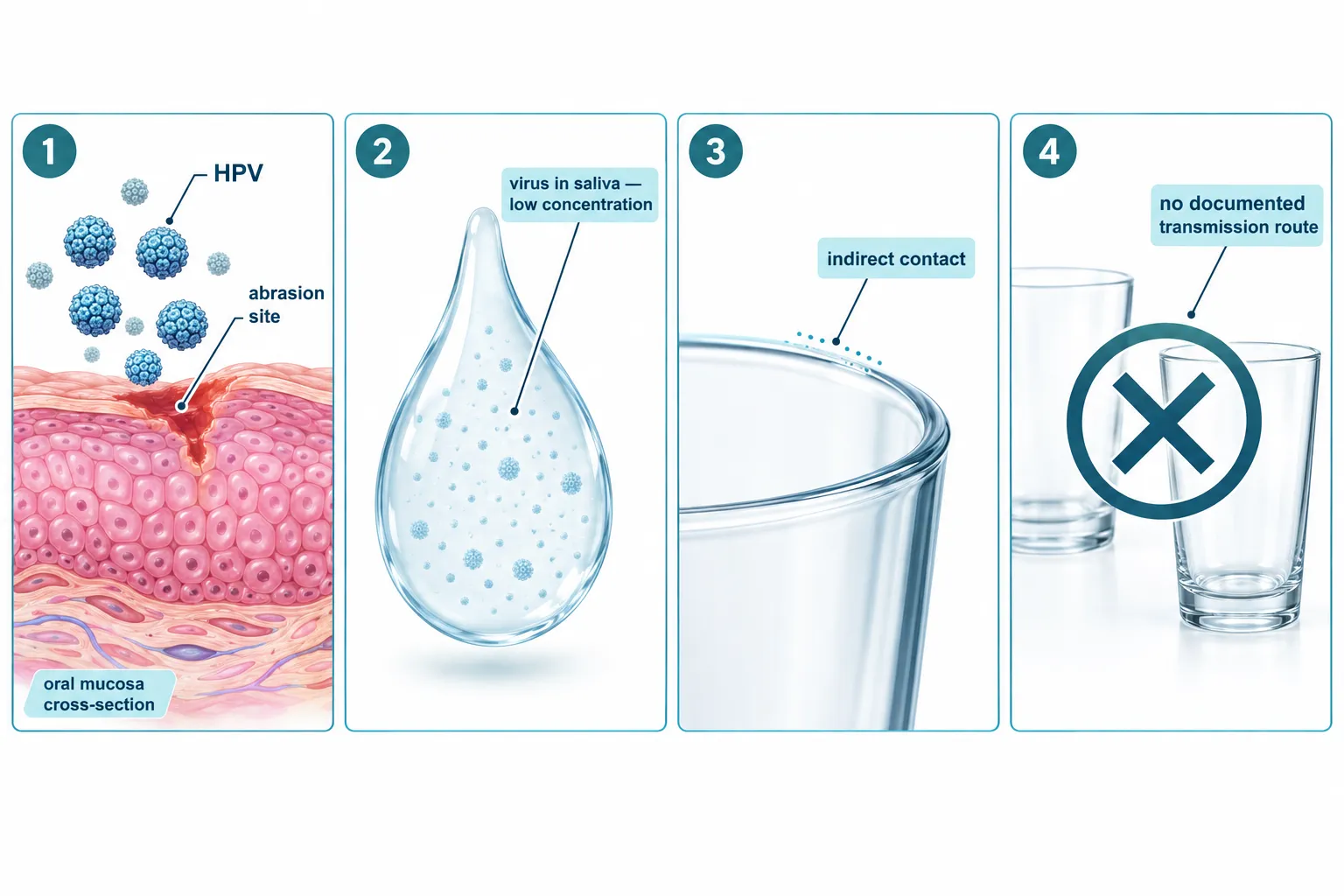 Can You Get HPV from Sharing a Drink? What the Science Shows