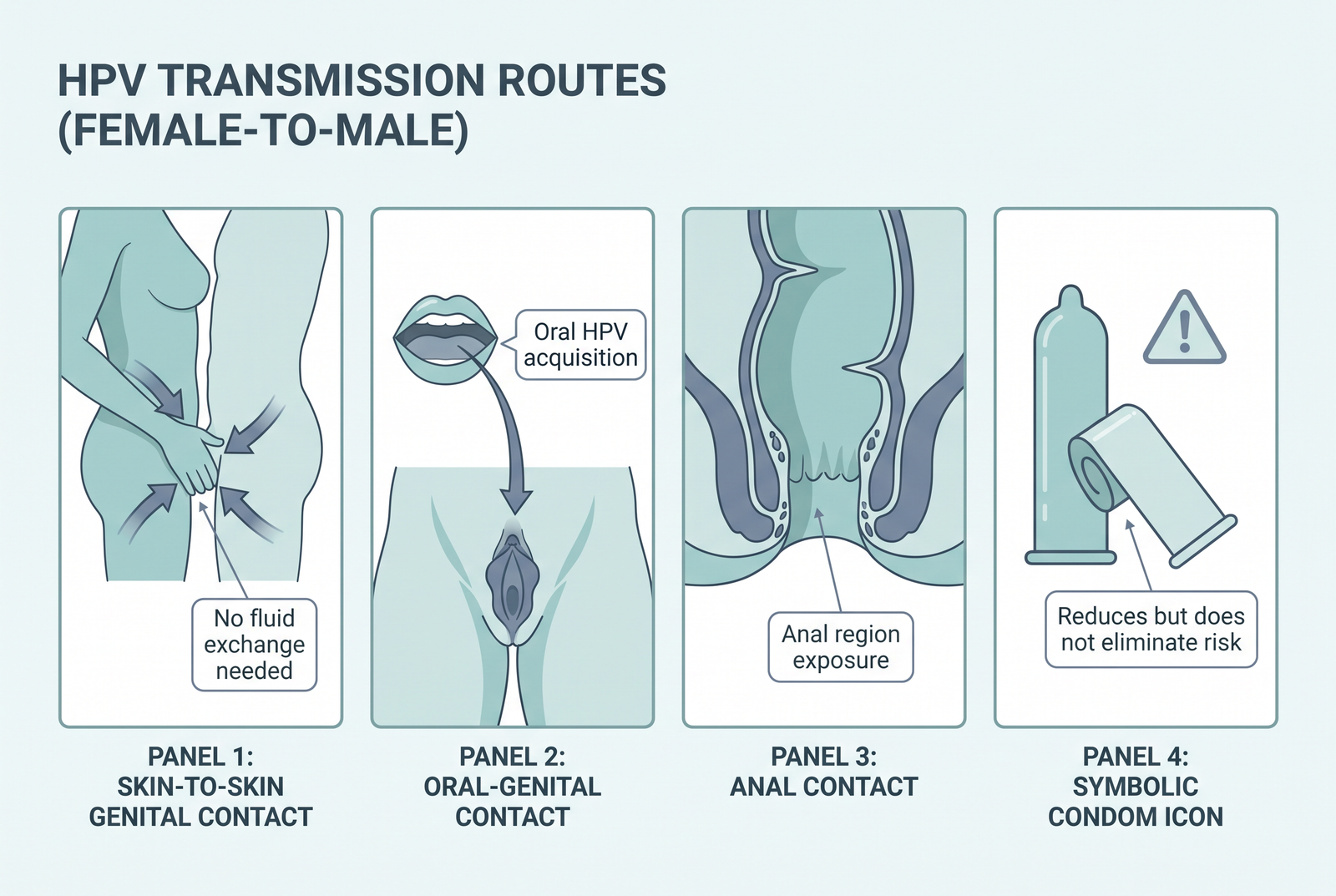 How Can a Woman Spread HPV to a Man?
