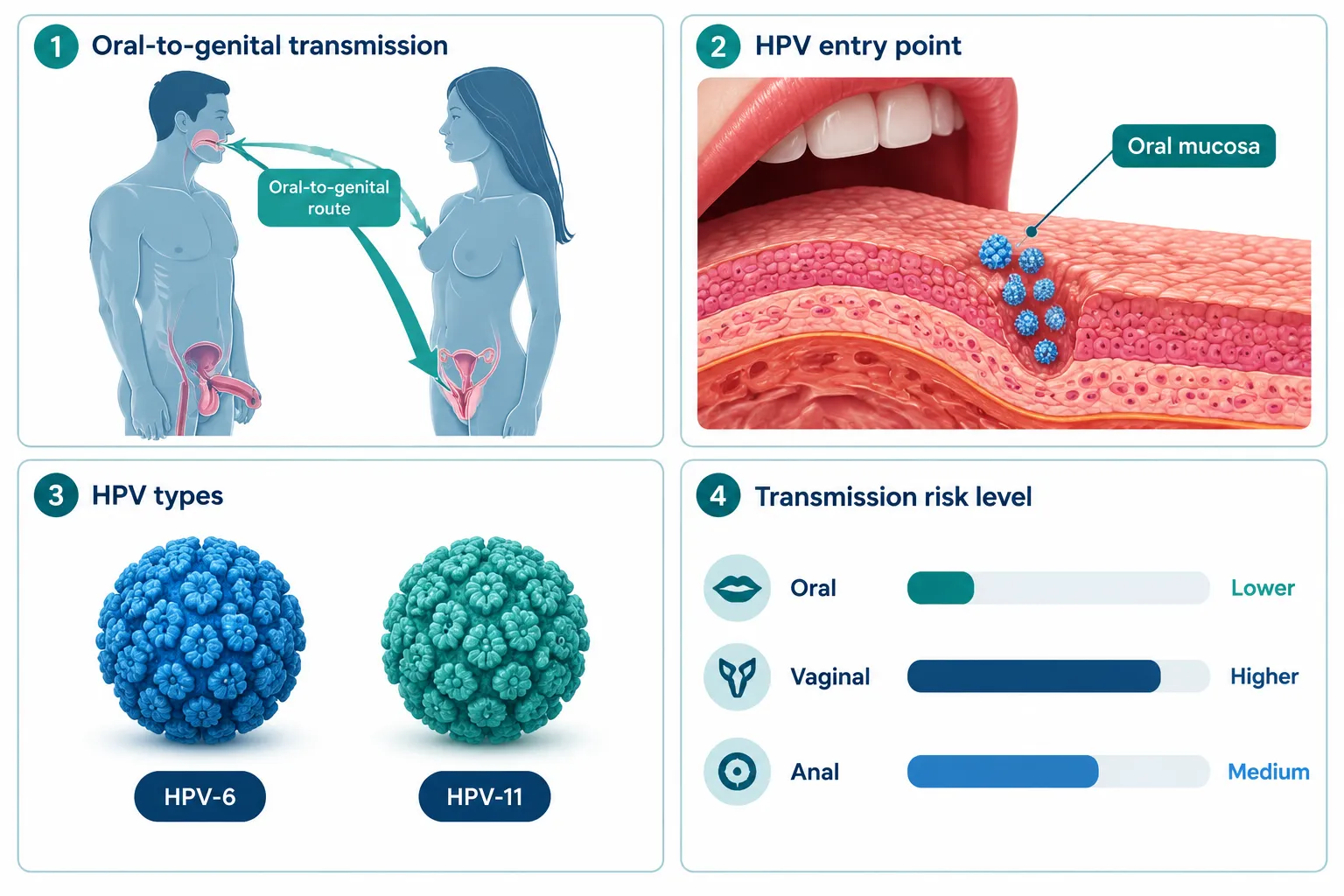 How Does HPV Spread Through Oral Sex?