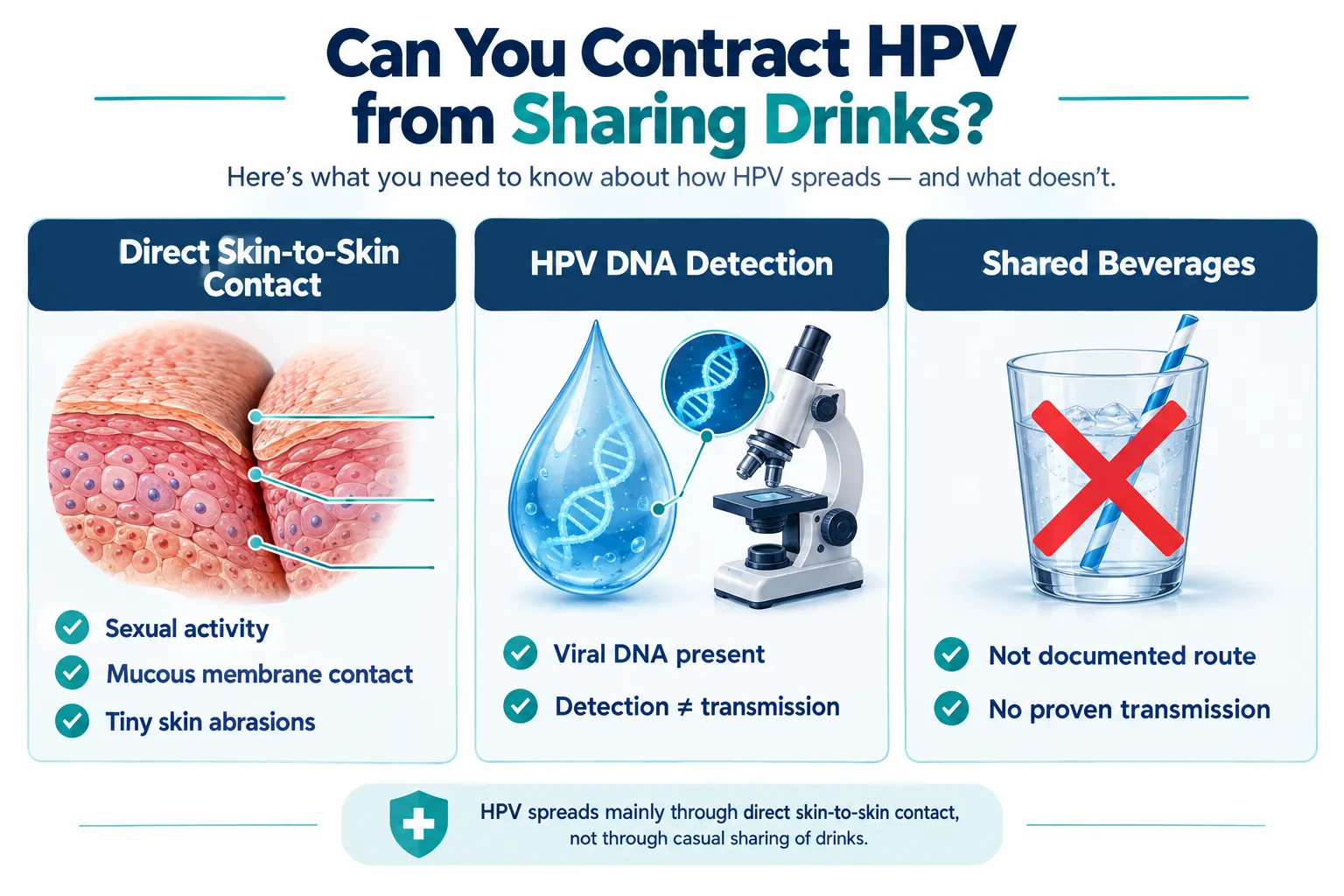 How HPV Actually Spreads