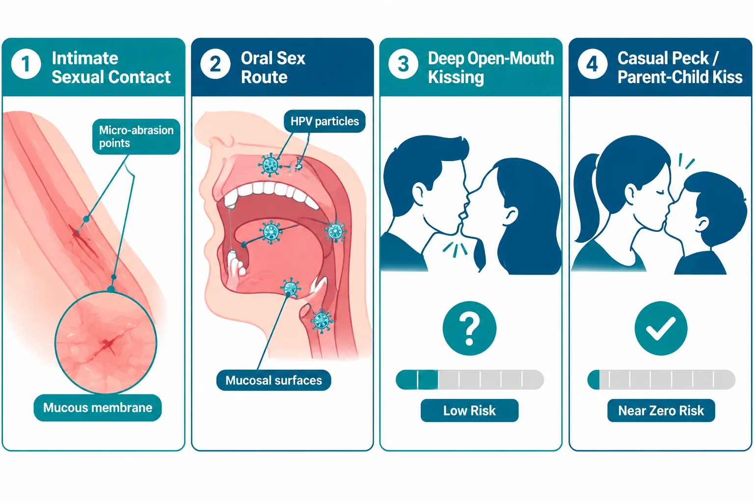 How HPV Actually Spreads