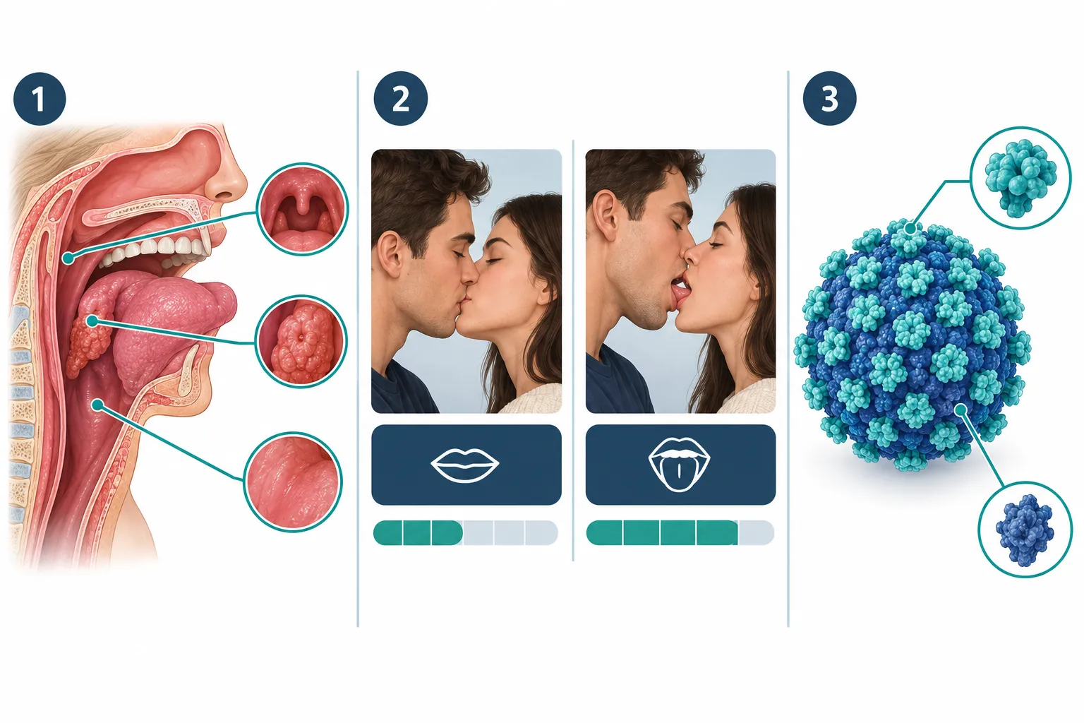 How HPV Spreads, and Where Kissing Fits In