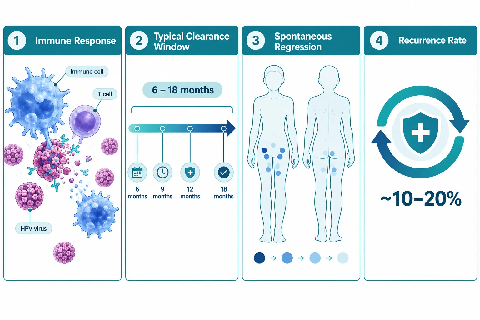 What "Going Away" Actually Means With Genital Warts