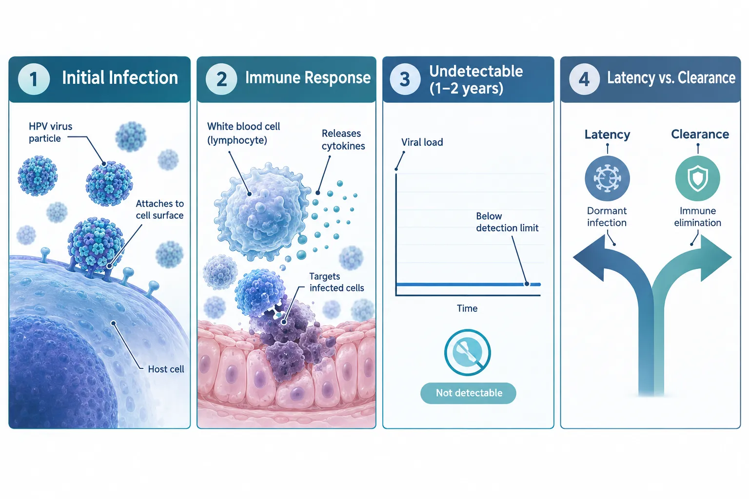 Does HPV Go Away on Its Own?