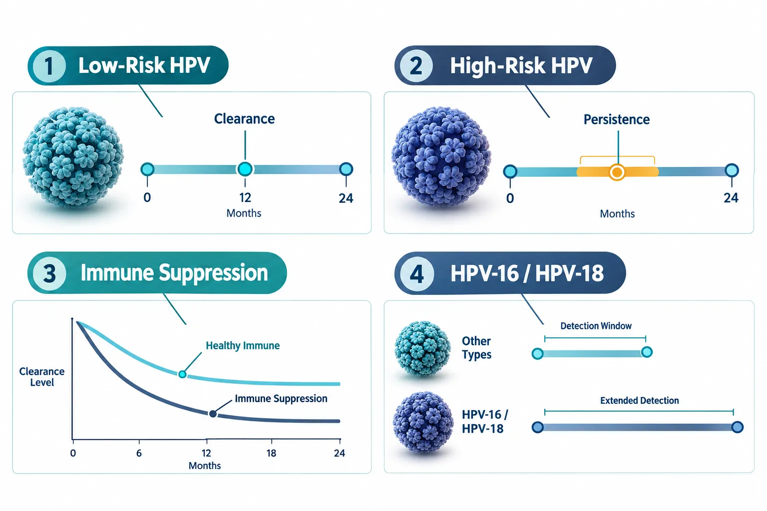 Does HPV Go Away on Its Own?