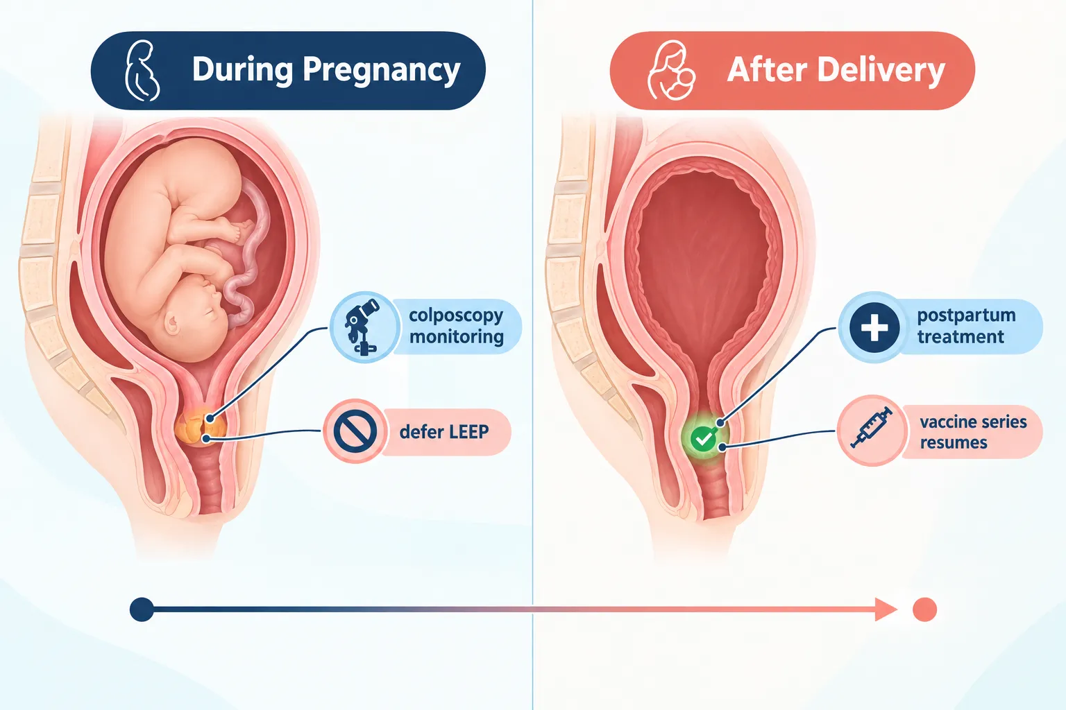 What Happens to Cervical Screening and Monitoring During Pregnancy?